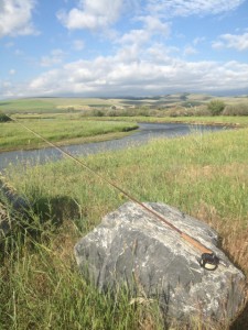Spring on a Montana Fly Fishing River: The Missouri River Clark Fork