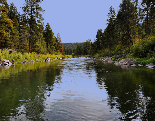 Blackfoot River Fly Fishing Guides