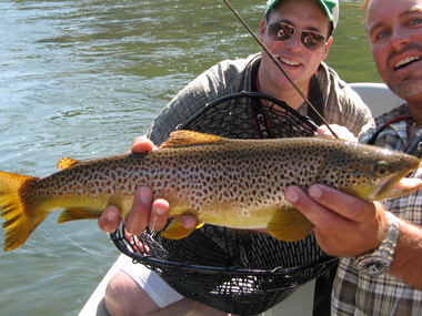 Blackfoot River Fly Fishing Brown Trout