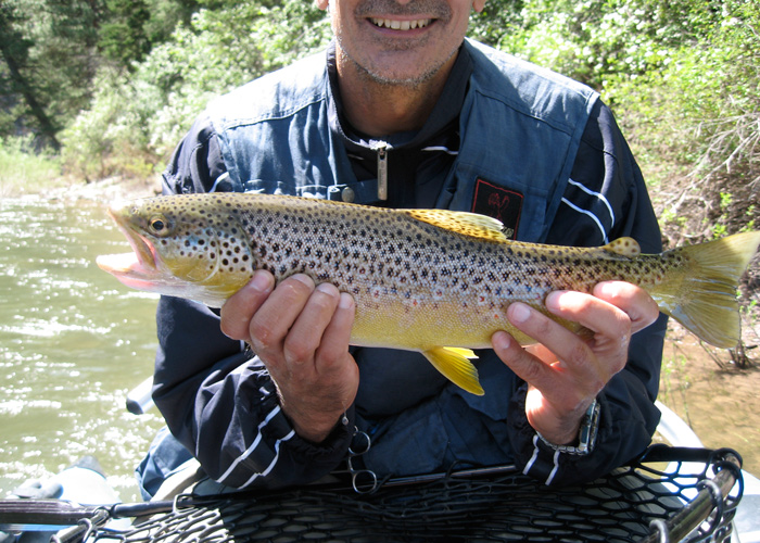 Clark Fork River Fly Fishing Guides Clear Creek Outfitters